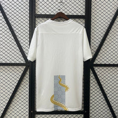 25-26 Tottenham Hotspur Pre-match Kit Soccer