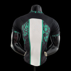 2022 player version Nigeria home